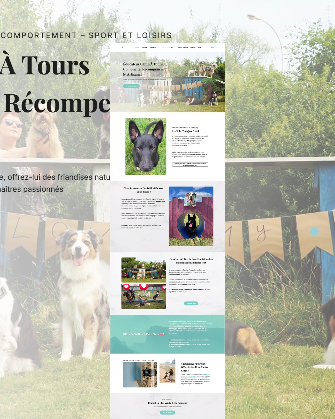Un site web avec un chien